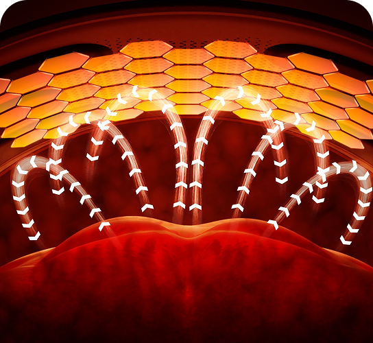 Wizualizacja działania pasa treningowego SKG GS300, pokazująca przepływ ciepła z płyt grzewczych do skóry