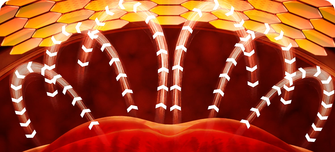 Wizualizacja działania pasa treningowego SKG GS300, pokazująca przepływ ciepła z płyt grzewczych do skóry