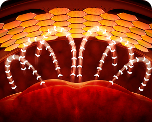 Wizualizacja działania pasa treningowego SKG GS300, pokazująca przepływ ciepła z płyt grzewczych do skóry